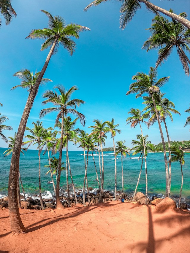 Playa de Mirissa en Sri Lanka, destino top de Luna de Miel en 2024